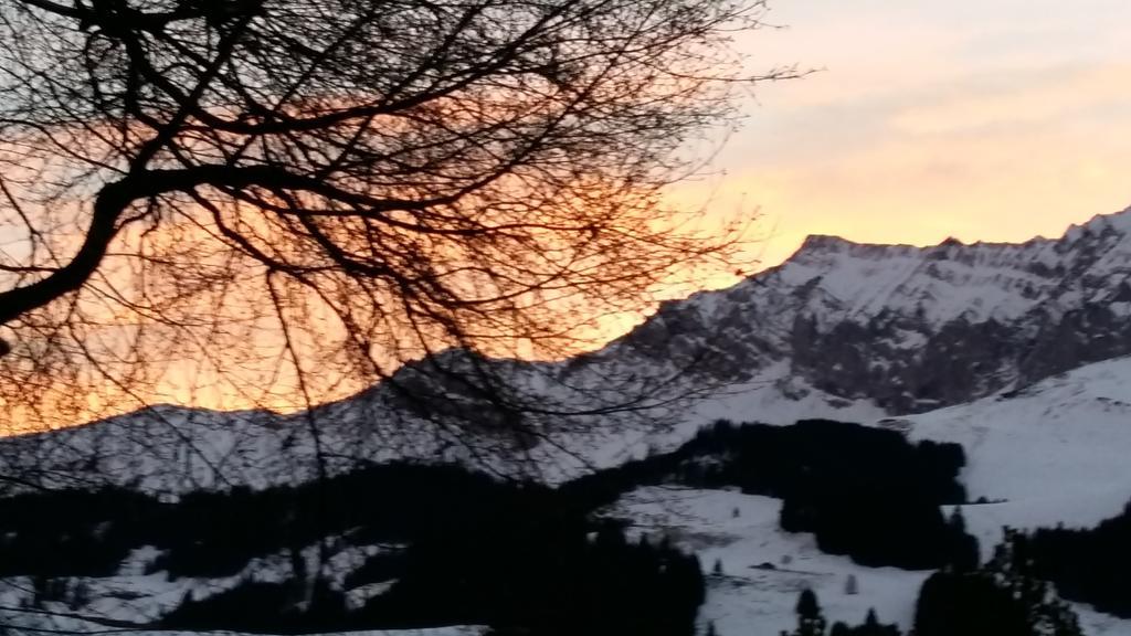 Chalet Sunnegg Adelboden Exterior photo