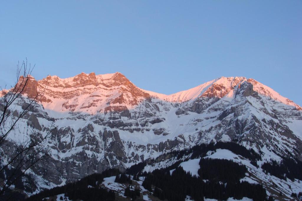 Chalet Sunnegg Adelboden Room photo